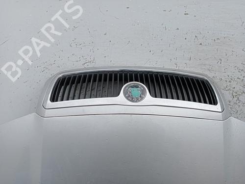 Motorhjelm SKODA FABIA I (6Y2)  | BP23949815C1 
