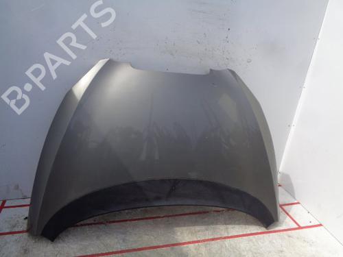 Cofano anteriore SEAT TOLEDO III (5P2) [2004-2009]  15934517