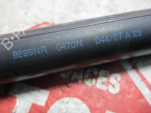 Tailgate lift support SEAT IBIZA III (6L1)  | BP16029529C138 