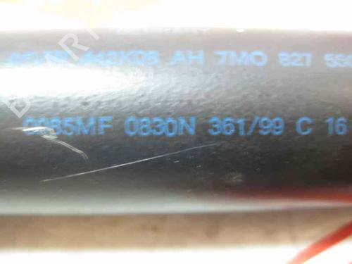 Tailgate lift support SEAT ALHAMBRA (7V8, 7V9) 1.9 TDI | BP15921923C138 