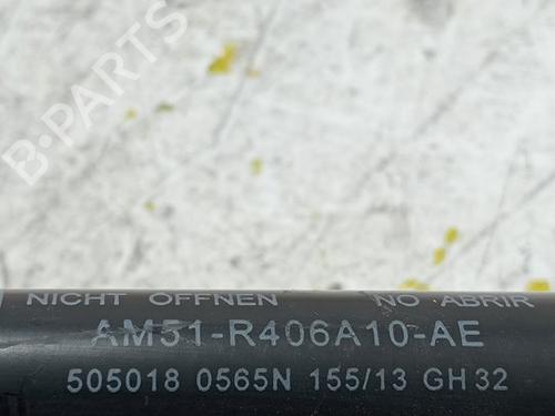 Tailgate lift support FORD C-MAX II (DXA/CB7, DXA/CEU)  | BP17519658C138 