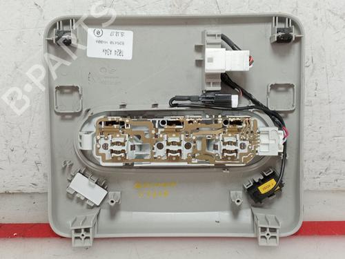 Interior roof light NISSAN QASHQAI II (J11, J11_)  | BP21517102I8
