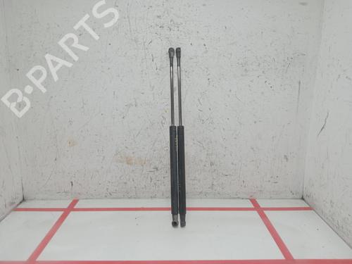 tailgate-lift-support-fiat-grande-punto-199_-2005-30389946 main image