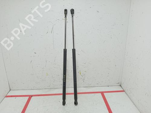 tailgate-lift-support-renault-scenic-ii-jm01_-2003-2004-2005-2006-2007-2008-2009-2010-29613348 main image