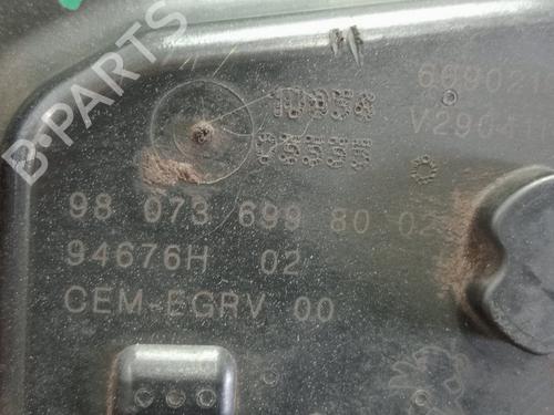 Egr PEUGEOT EXPERT Van (V_) | BP28030551M69