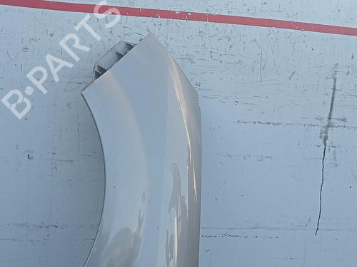 Left front fenders RENAULT SCÉNIC II (JM0/1_) 1.5 dCi (JM1E, JM16) | BP22217071C41 
