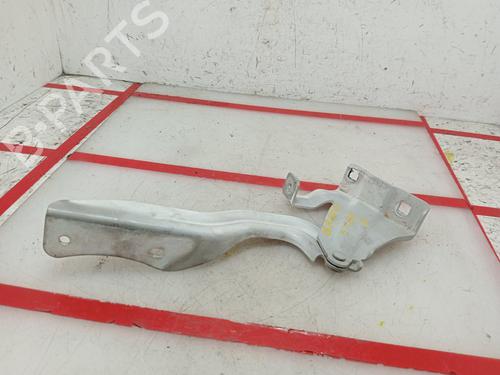 Hinge/Door check strap NISSAN QASHQAI II (J11, J11_)  | BP21517069C146