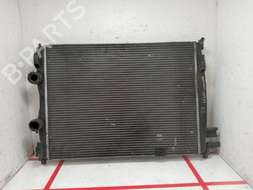 Radiateur NISSAN QASHQAI I (J10, NJ10) [2006-2015]  29117491