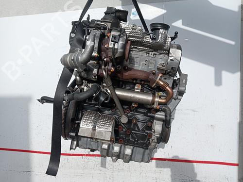 Motor VW PASSAT B6 Variant (3C5)  | BP31026968M1 