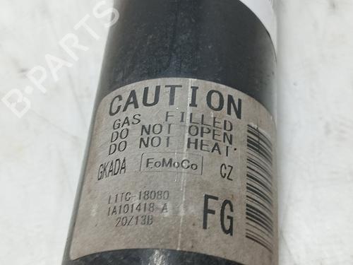 Left rear shock absorber FORD PUMA (J2K, CF7)  | BP27988420M18  - Image 6