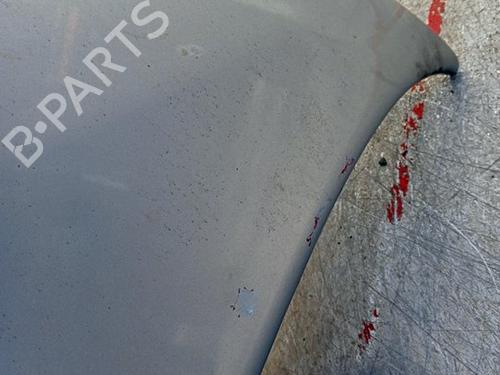 Hood CITROËN XSARA PICASSO (N68) 1.6 HDi | BP25006933C1 