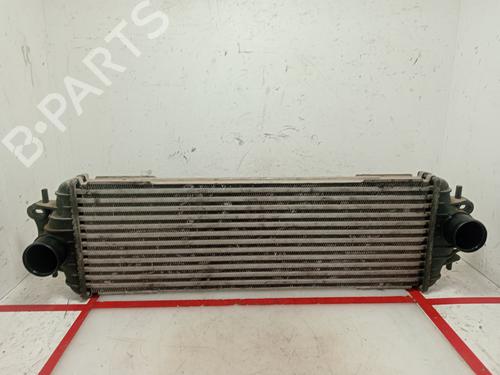 Used Intercooler NISSAN PRIMASTAR Van (X83) 1.9 dCi 100 (100 hp) 18537362