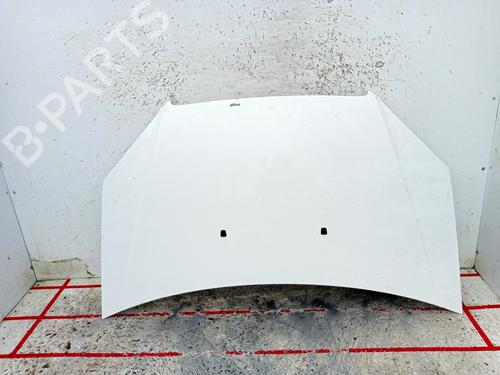 Capot FIAT DOBLO MPV (119_, 223_) [2001-2025]  29213289