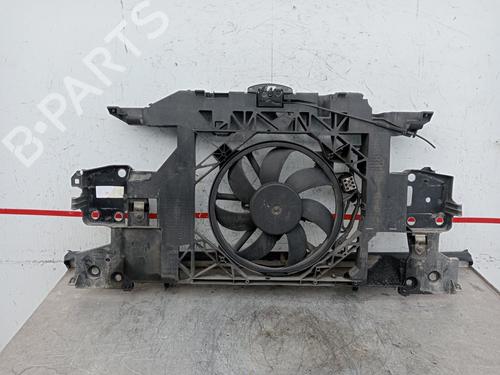 Panel frontal RENAULT GRAND SCÉNIC III (JZ0/1_) [2009-2016]  29505026