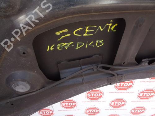 Hood RENAULT GRAND SCÉNIC II (JM0/1_) 1.6 | BP8412791C1 