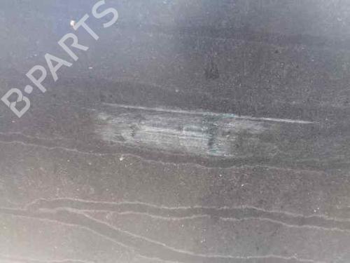 Hood CHRYSLER VOYAGER IV (RG, RS) 2.5 CRD | BP7621962C1 
