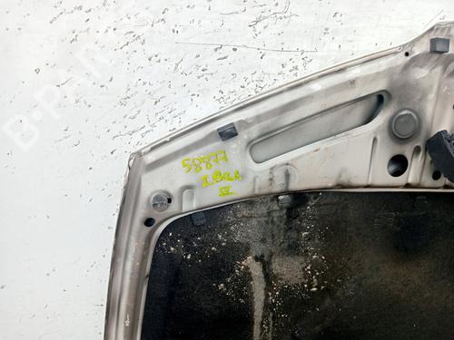 Hood SEAT IBIZA III (6L1)  | BP29138158C1 