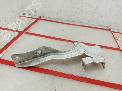 Hinge/Door check strap NISSAN QASHQAI II (J11, J11_)  | BP21517069C146