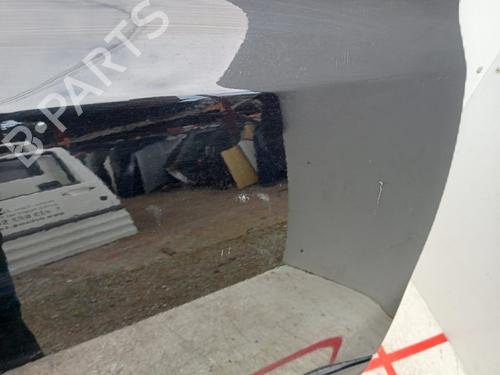 Right front door RENAULT KOLEOS I (HY_)  | BP16905888C3