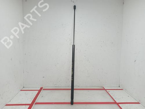 Used Hood lift support AUDI A4 B7 (8EC) 2.0 TDI 16V (140 hp) 19524414