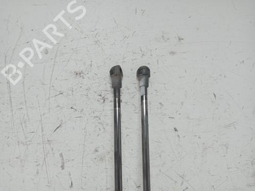 Tailgate lift support NISSAN QASHQAI I (J10, NJ10)  | BP29117501C138 