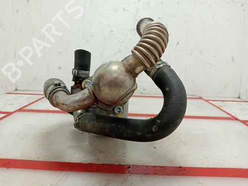 Egr FIAT FIORINO Box Body/MPV (225_) 1.3 D Multijet (225BXD1A, 225BXB1A, 225BXB11) | BP20155906M69 