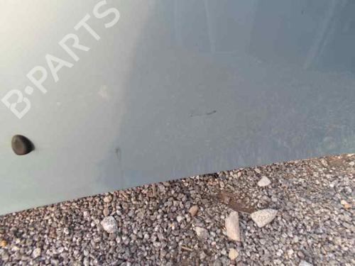 Hood CITROËN XSARA (N1) 1.6 16V | BP7620916C1 