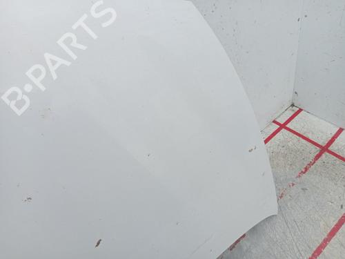 Hood SEAT IBIZA III (6L1)  | BP29117519C1 