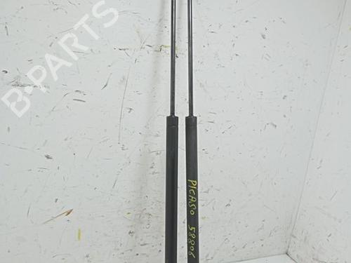 Tailgate lift support CITROËN XSARA PICASSO (N68)  | BP28304715C138 
