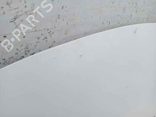 Hood PEUGEOT 307 (3A/C)  | BP29518181C1 