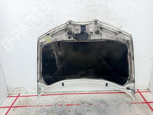 Hood SEAT IBIZA III (6L1)  | BP29138158C1 