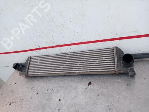 Intercooler OPEL MOVANO B Van (X62)  | BP18853714M30 