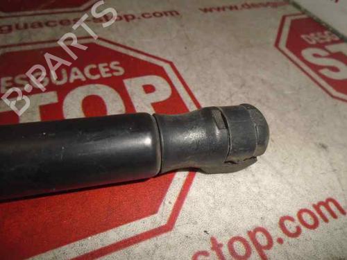 Gasfjeder motorhjelm OPEL VECTRA C (Z02)  | BP15920611C139 