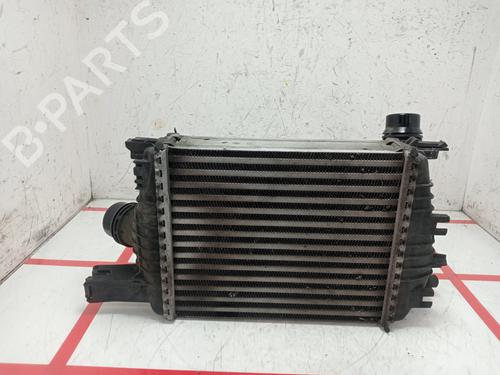 Intercooler DACIA DUSTER (HS_) | BP29828166M30