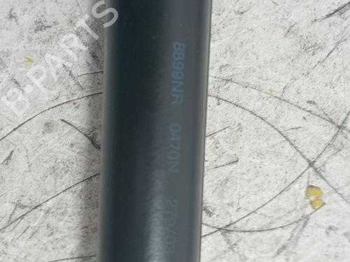 Tailgate lift support SEAT IBIZA III (6L1)  | BP16477046C138 