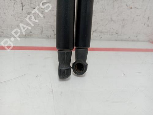 Tailgate lift support NISSAN QASHQAI I (J10, NJ10)  | BP29117501C138 