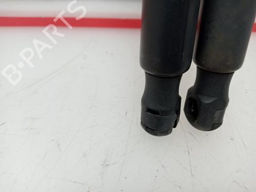 Tailgate lift support LAND ROVER RANGE ROVER SPORT I (L320) 2.7 D 4x4 | BP15948845C138 