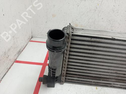 Intercooler DACIA DUSTER (HS_) | BP29828166M30
