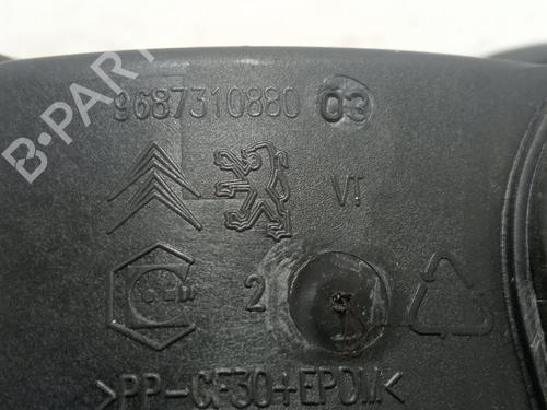 Fuel flap CITROËN C4 II (NC_)  | BP30153175C131 