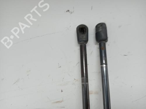 Tailgate lift support LAND ROVER RANGE ROVER SPORT I (L320) 2.7 D 4x4 | BP15948845C138 