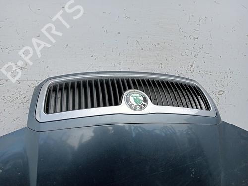 Hood SKODA FABIA I (6Y2)  | BP23106066C1 