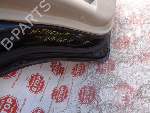 Left rear door HYUNDAI TUCSON (JM) 2.0 | BP8335100C4 