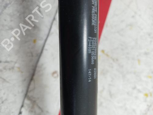Tailgate lift support DACIA SANDERO II  | BP16719681C138 