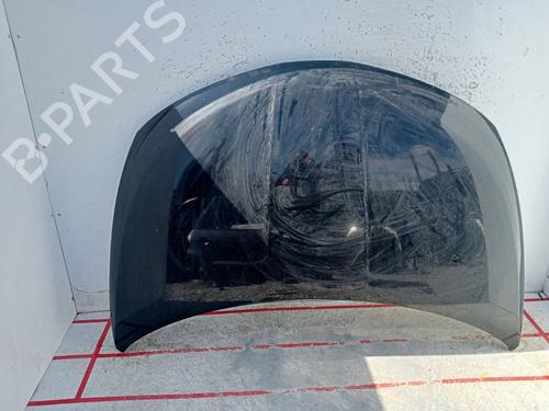 Used Hood NISSAN MURANO I (Z50) [2002-2009]  22229355