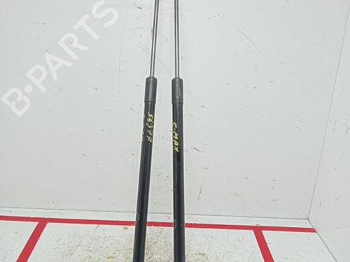 Tailgate lift support FORD C-MAX II (DXA/CB7, DXA/CEU)  | BP17519658C138 