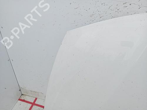 Hood SEAT IBIZA III (6L1)  | BP29138158C1 