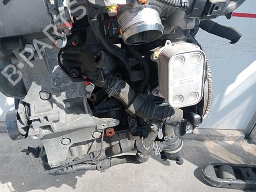 Engine SEAT TOLEDO IV (KG3) 1.6 TDI | BP36864496M1  - Image 13