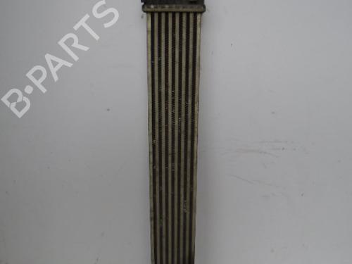 Used Intercooler MERCEDES-BENZ A-CLASS (W169) [2004-2012]  8216195