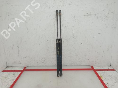 Gassdemper Bakluke RENAULT MEGANE II (BM0/1_, CM0/1_) [2001-2012]  22397800