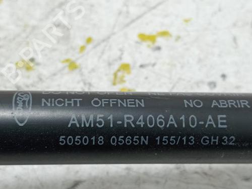 Tailgate lift support FORD C-MAX II (DXA/CB7, DXA/CEU)  | BP17519658C138 